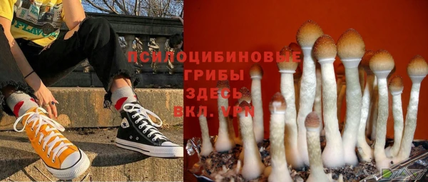 гашишное масло Белокуриха