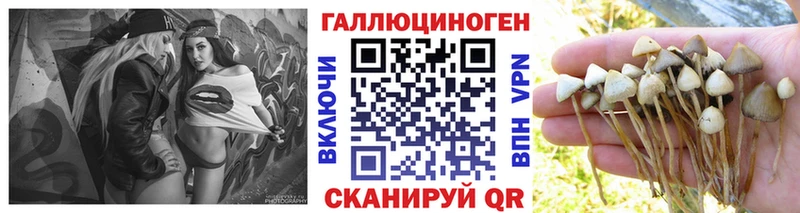 Псилоцибиновые грибы MAGIC MUSHROOMS  где найти наркотики  Чухлома 